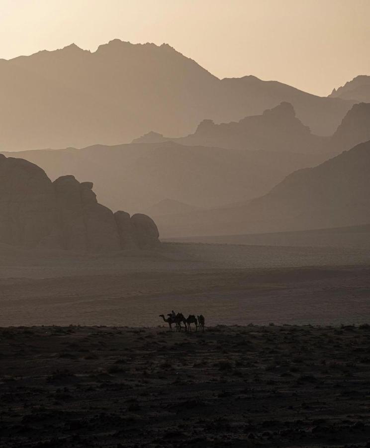 Wadirum Zeid Camp&Tours ワディ ・ラム エクステリア 写真