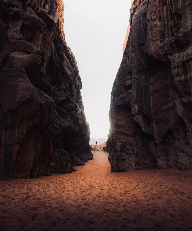 Wadirum Zeid Camp&Tours ワディ ・ラム エクステリア 写真