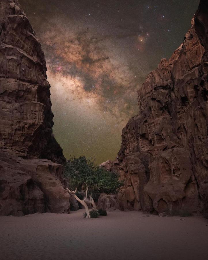 Wadirum Zeid Camp&Tours ワディ ・ラム エクステリア 写真