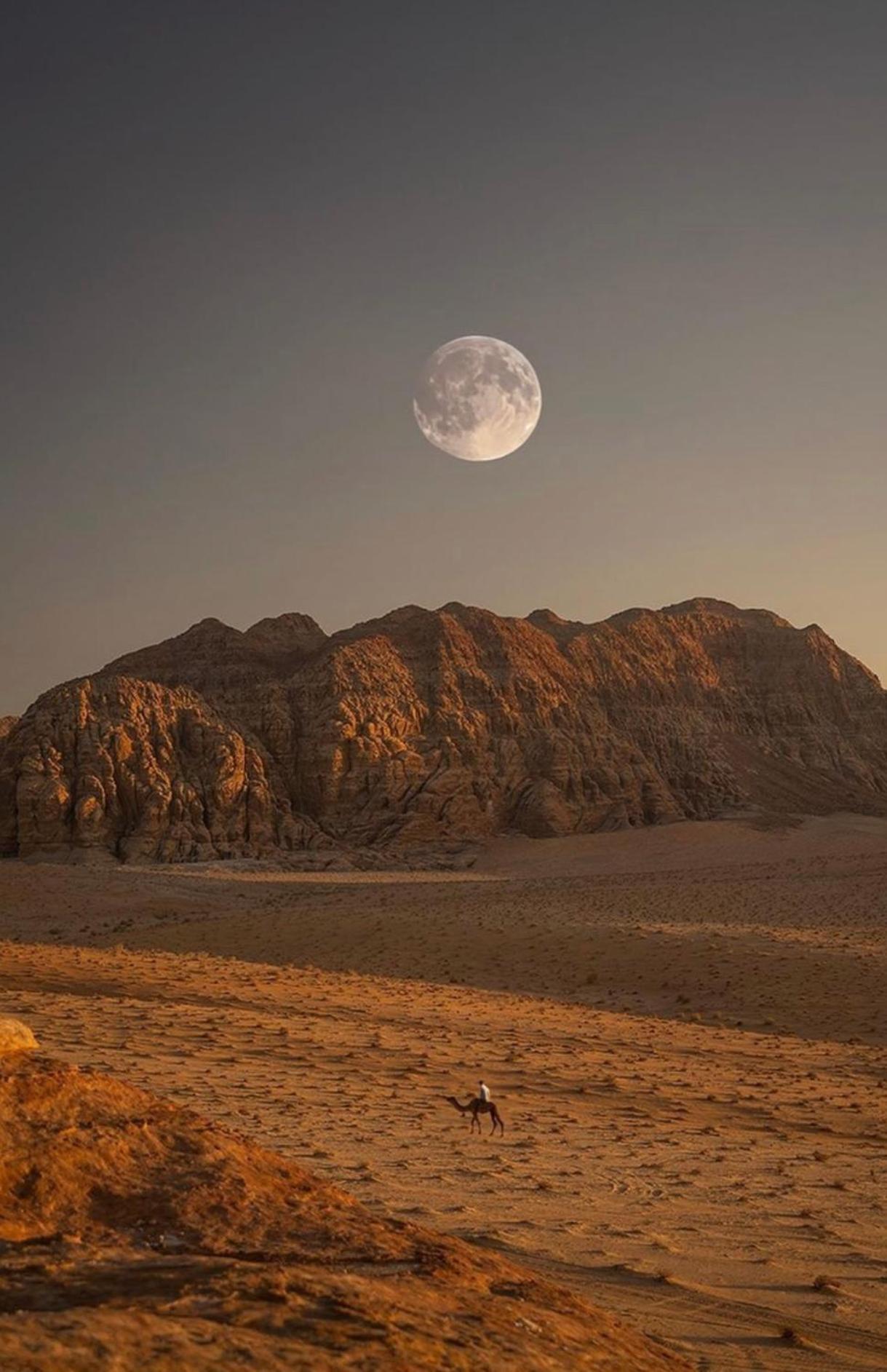 Wadirum Zeid Camp&Tours ワディ ・ラム エクステリア 写真