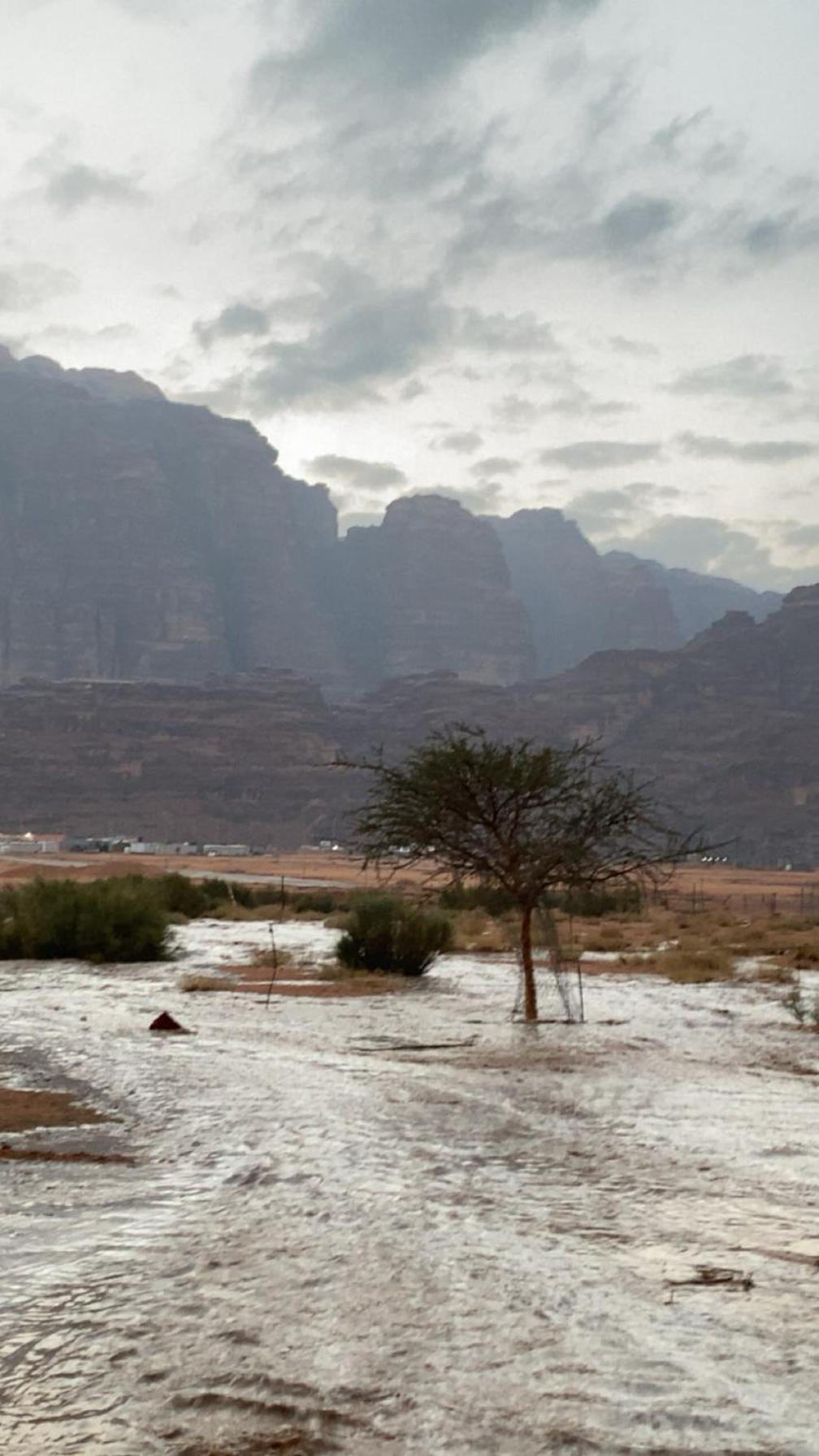 Wadirum Zeid Camp&Tours ワディ ・ラム エクステリア 写真