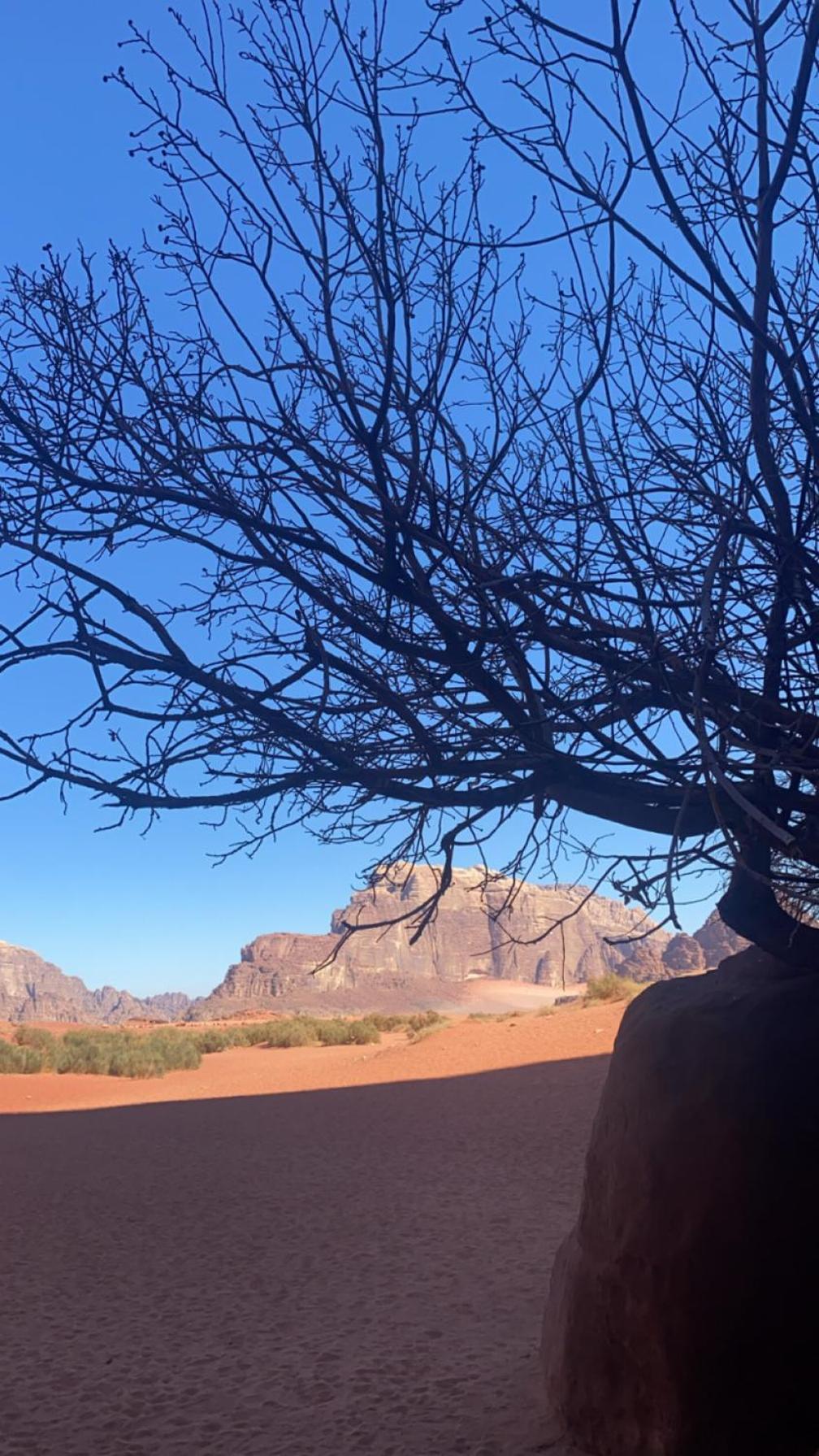 Wadirum Zeid Camp&Tours ワディ ・ラム エクステリア 写真